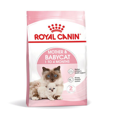 Royal Canin Mother & Baby ração para gatos
