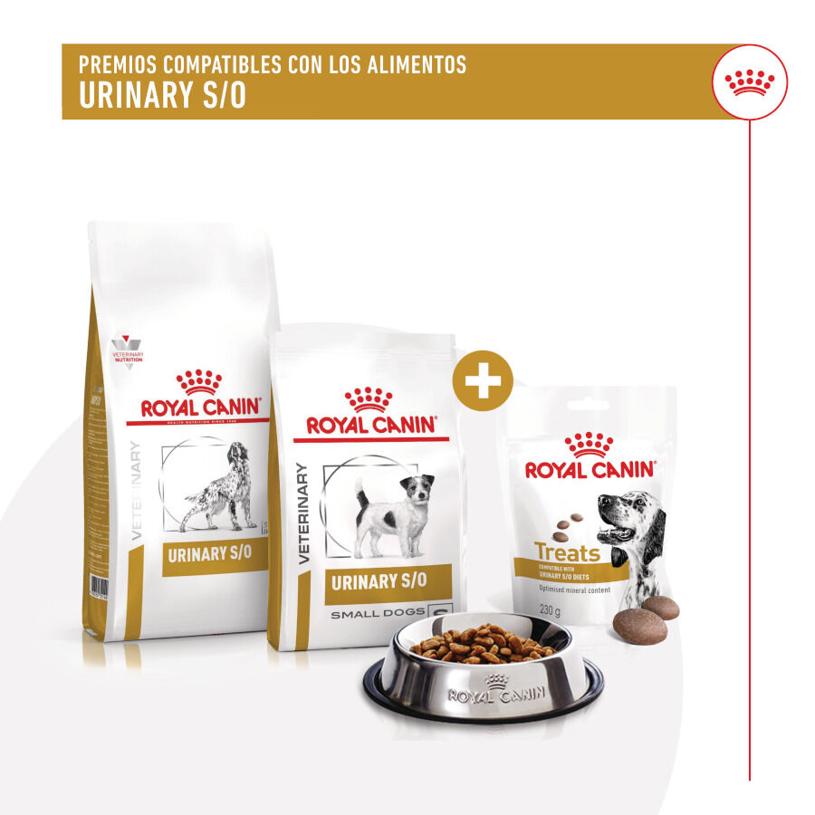 230 g Royal Canin Treats Urinary Snacks para c&atilde;es, , large Imagem n&uacute;mero 8