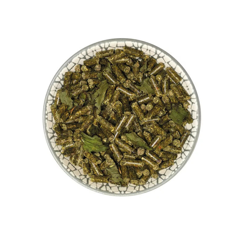 Bunny Nature GuineaPigDream Basic Ração para cobaias,  Imagem número 2 Bunny Nature GuineaPigDream Basic Ração para cobaias, , large Imagem número 2