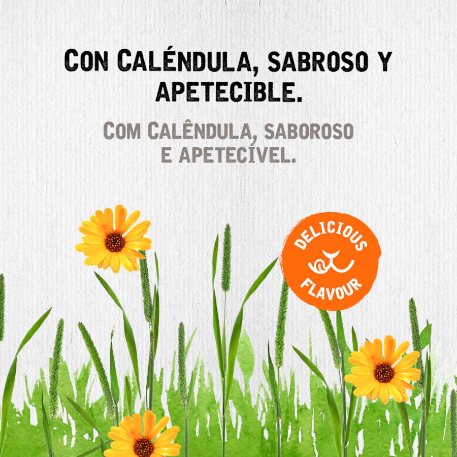 Small Life Feno Timothy com Cal&ecirc;ndula para roedores, , large Imagem n&uacute;mero 3