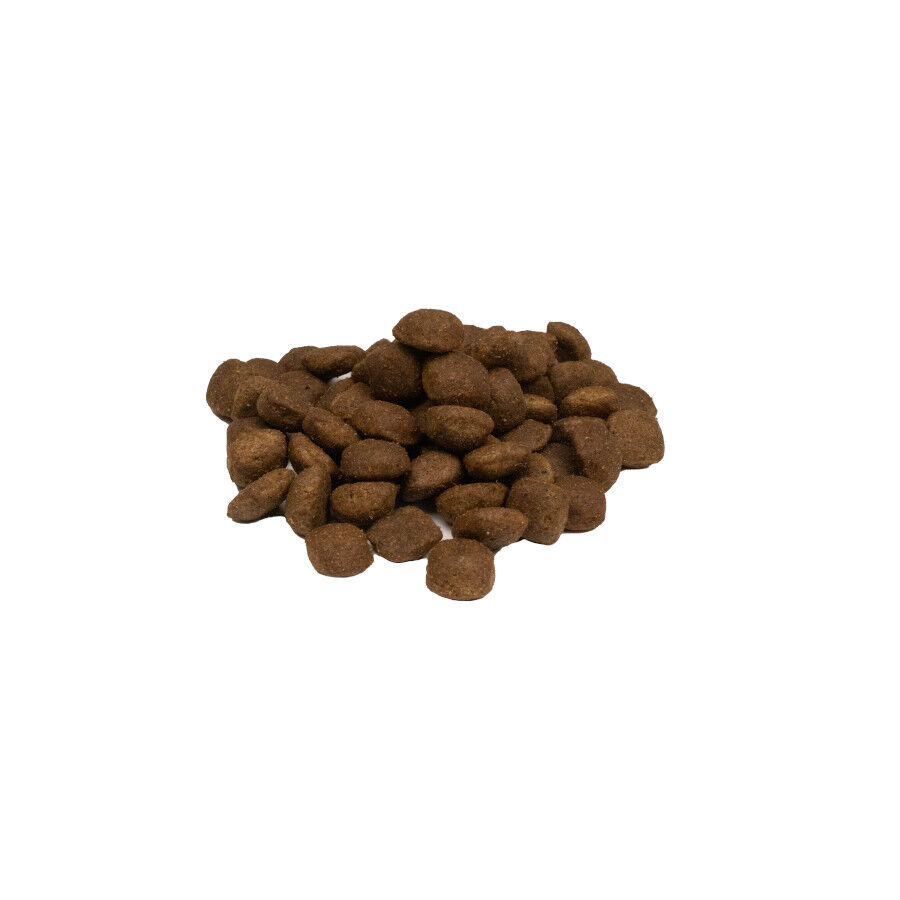 10 kg Weego Grain Free Light Gourmet Per&uacute; ra&ccedil;&atilde;o para c&atilde;es , , large Imagem n&uacute;mero 2