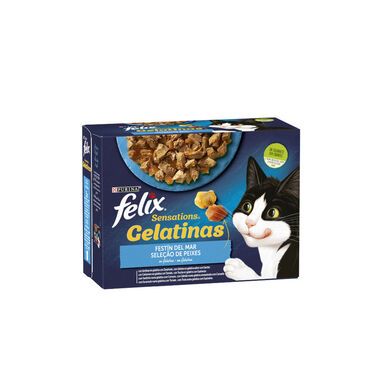 Felix Sensations Seleção de Peixes saquetas em galeia