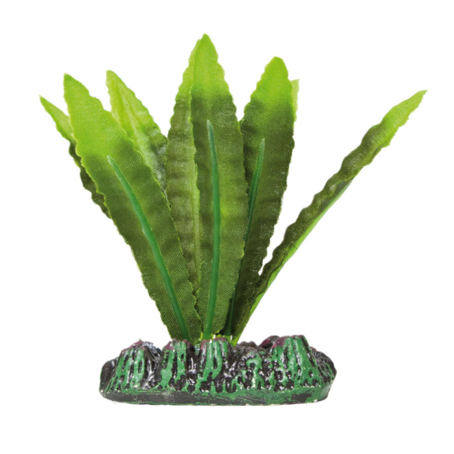 ICA Aquatic Plants Planta Artificial Aponogeton para aqu&aacute;rios, , large Imagem n&uacute;mero 1