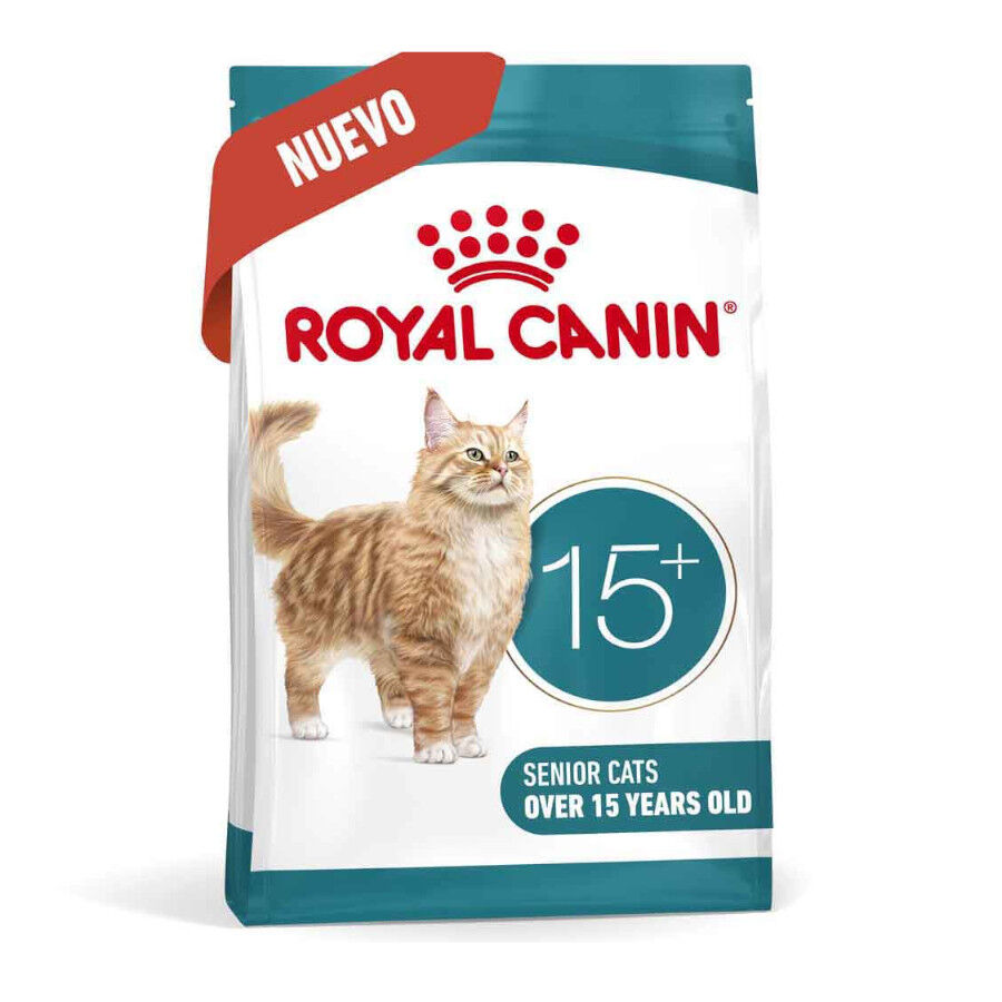 4 kg Royal Canin Ageing +15 Ra&ccedil;&atilde;o para gato s&eacute;nior, , large Imagem n&uacute;mero 2