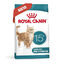 2 kg Royal Canin Ageing +15 Ração para gato sénior, , large Indicador imagem número 2