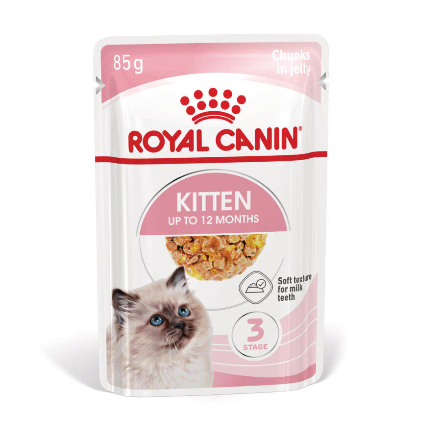 85 g Royal Canin Kitten alimento h&uacute;mido em gelatina saquetas para gatinhos, , large Imagem n&uacute;mero 2