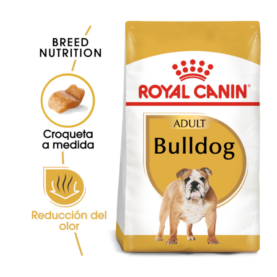 12 kg Royal Canin Adult Bulldog ra&ccedil;&atilde;o para c&atilde;es de ra&ccedil;a, , large Imagem n&uacute;mero 2