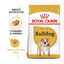 12 kg Royal Canin Adult Bulldog ração para cães de raça, , large Indicador imagem número 2