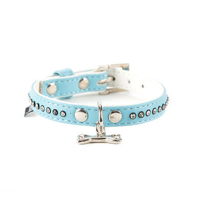 Freedog Coleira azul com tachas para cães