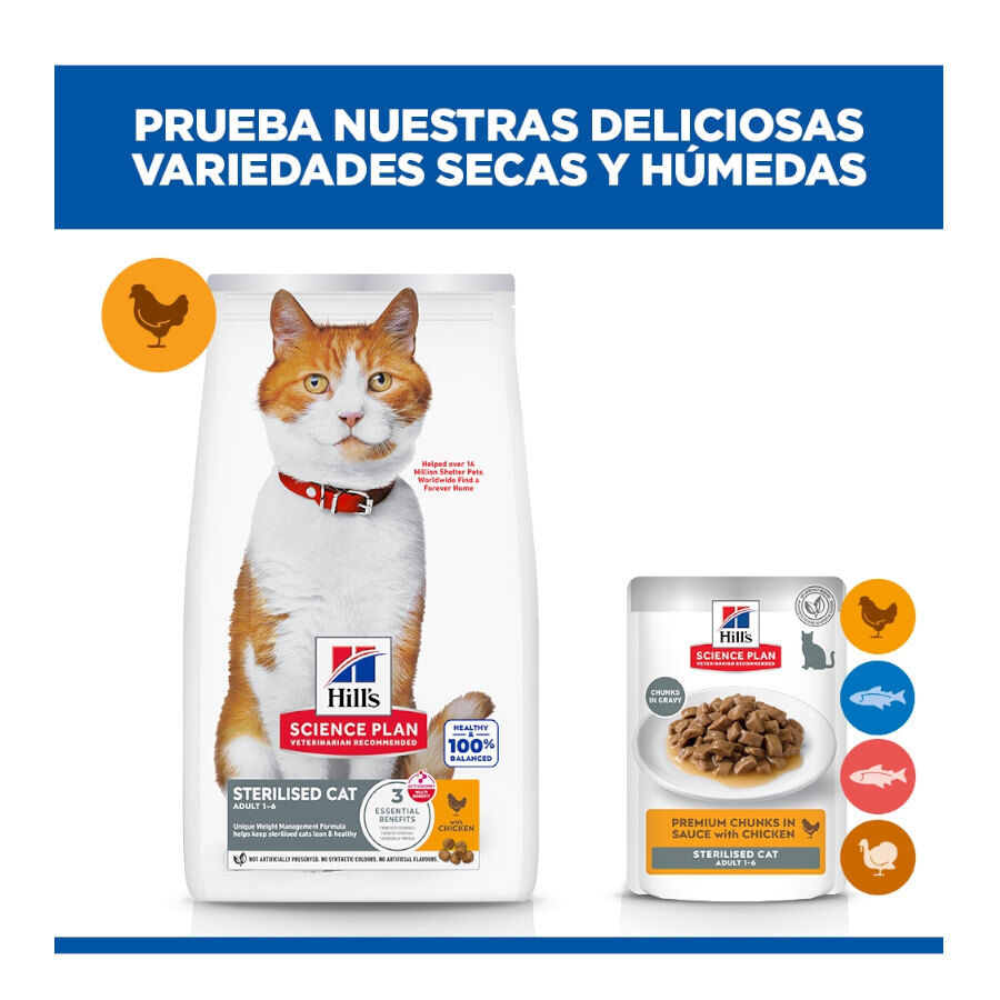 85 g Hill's Young Adult Science Plan Sterilized Frango saqueta para gatos, , large Imagem n&uacute;mero 11