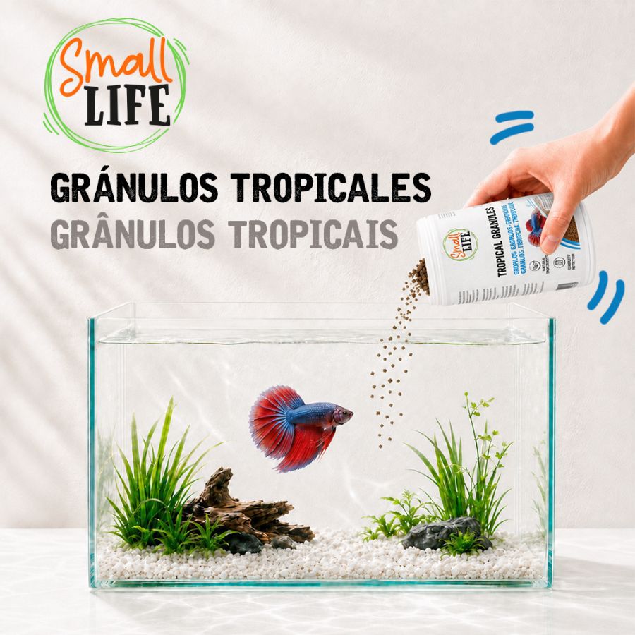 100 ml Small Life Gr&aacute;nulos Tropical Alimento para peces, , large Imagem n&uacute;mero 3