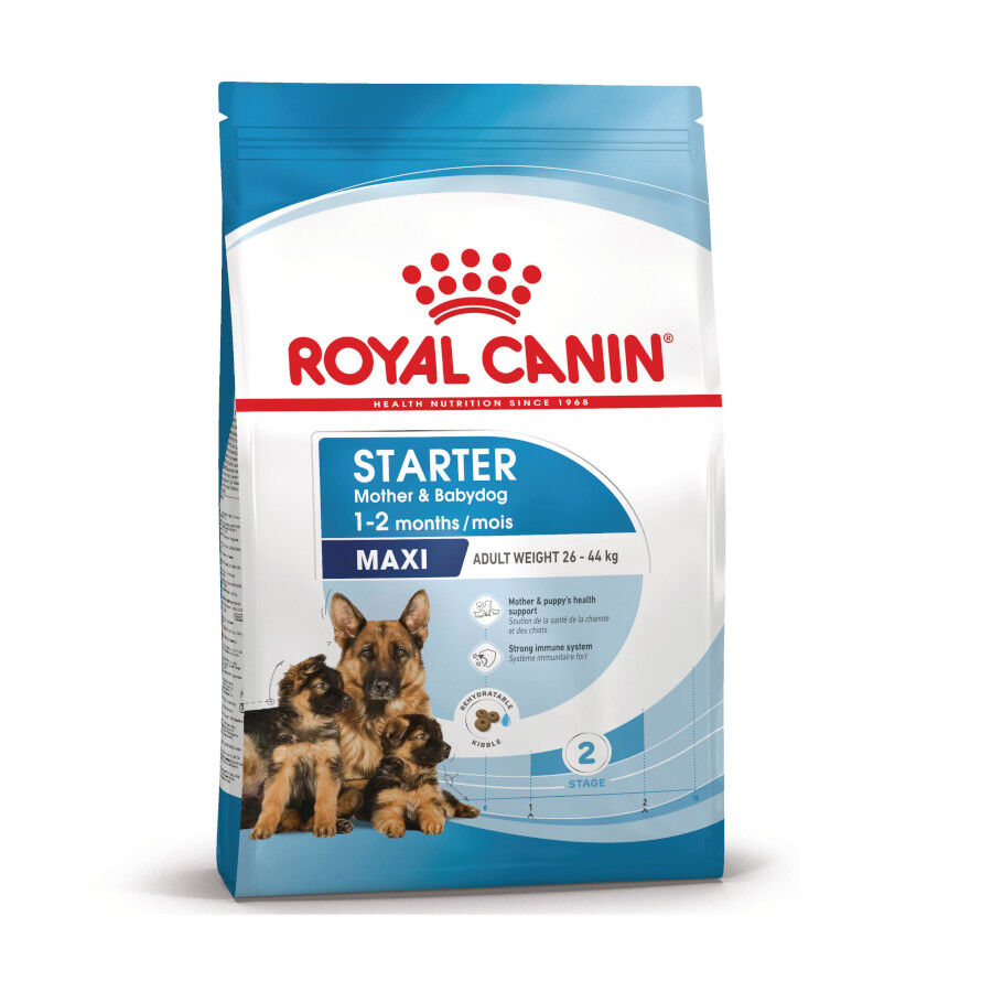 Royal Canin Starter Maxi MothereBaby ra&ccedil;&atilde;o para c&atilde;es, , large Imagem n&uacute;mero 1