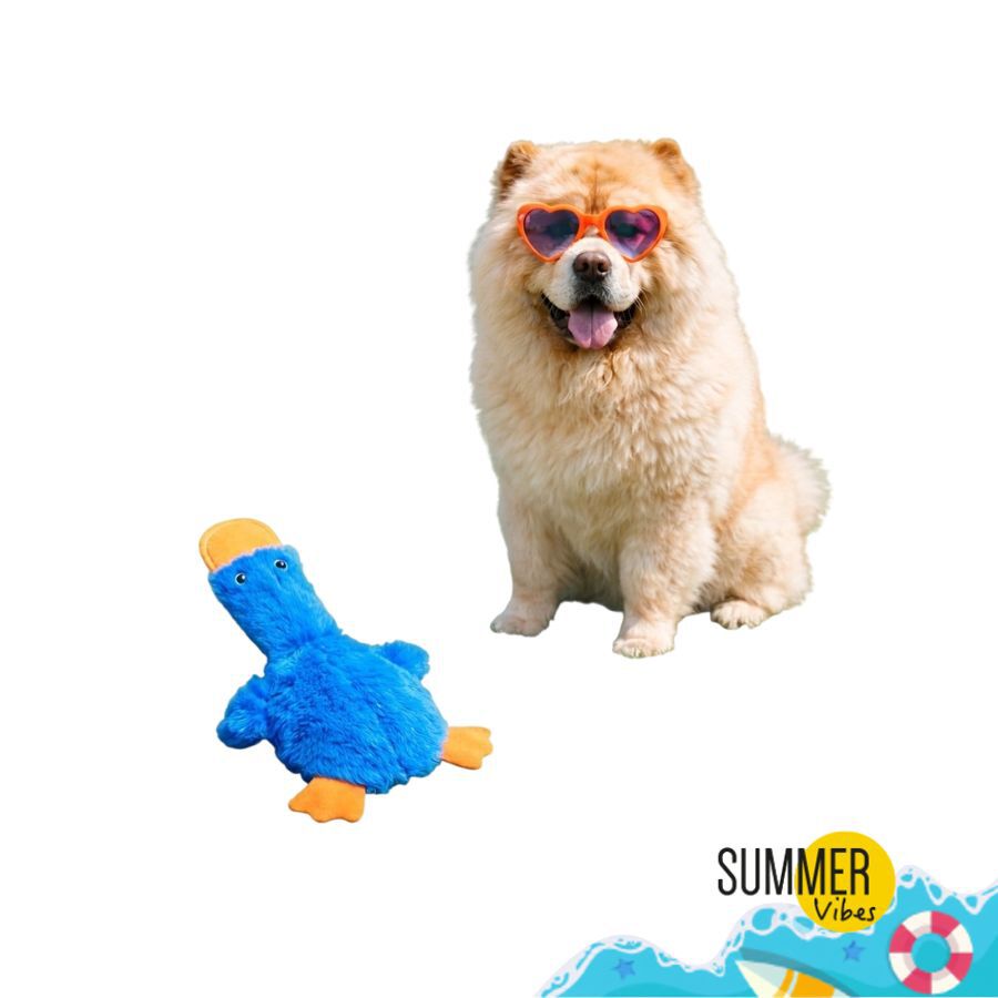 Summer Vibes Dolce Vita Skinny Duck Peluche para c&atilde;es, , large Imagem n&uacute;mero 7