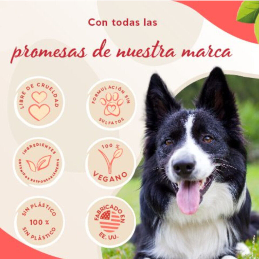 Pet Head Champ&ocirc; s&oacute;lido para c&atilde;es, , large Imagem n&uacute;mero 4