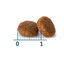 7 kg Nath Adult Mini Frango ração para cães, , large Indicador imagem número 3