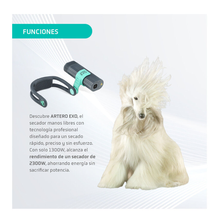 Artero Exo Secador cinzento para c&atilde;es e gatos, , large Imagem n&uacute;mero 4