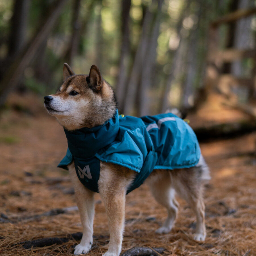 Non-stop Dogwear Glacier Casaco Imperme&aacute;vel Azul e Verde para c&atilde;es, , large Imagem n&uacute;mero 2