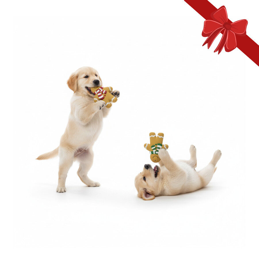 Wonder Christmas Brinquedo Super Gingerman de Natal para C&atilde;es, , large Imagem n&uacute;mero 1