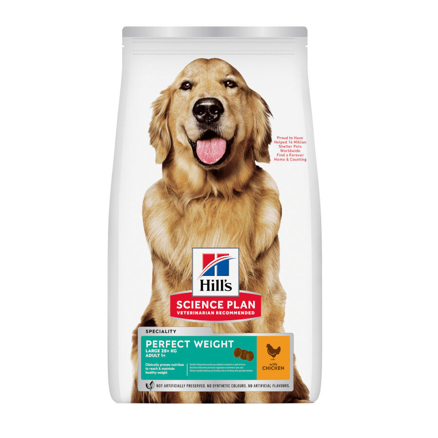 12 kg Hill's Science Plan Perfect Weight Adult Large Frango ra&ccedil;&atilde;o para c&atilde;es, , large Imagem n&uacute;mero 1