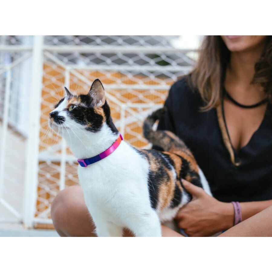 Zee Cat Coleira Prisma para Gato, , large Imagem n&uacute;mero 2