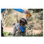 Freedog Cool Pro Tech Peitoral Azul para cães, , large Indicador imagem número 4