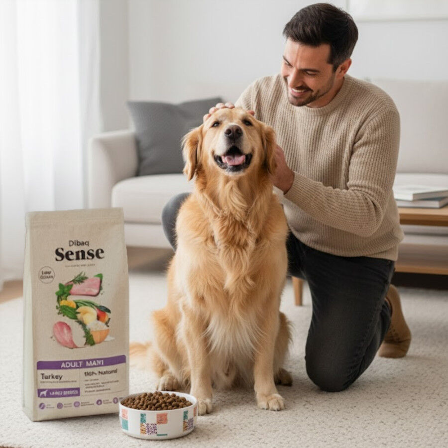 12 kg 12 Dibaq Sense Low Grain Adult Maxi Ra&ccedil;&atilde;o de peru para c&atilde;es, , large Imagem n&uacute;mero 4