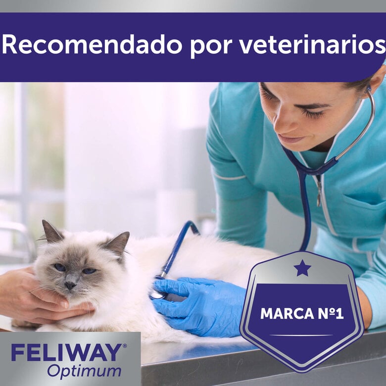 Feliway Optimum relaxante para gatos,  Imagem número 6 Feliway Optimum relaxante para gatos, , large Imagem número 6