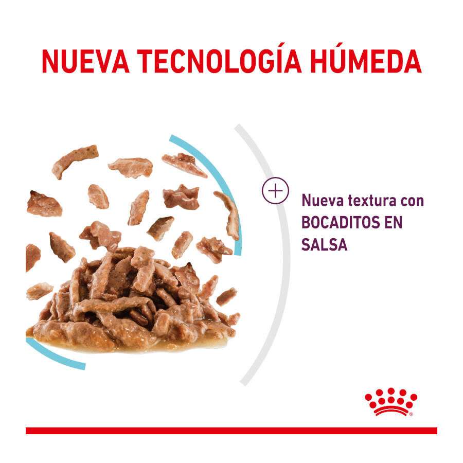 85 g Royal Canin Adult Sensory Feel molho saqueta para gatos, , large Imagem n&uacute;mero 3