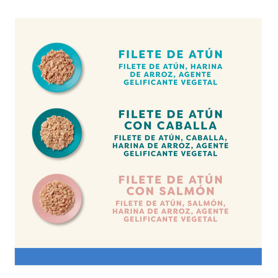 12 saquetas x 70 g Applaws Selection Mix em Gelatina saqueta para gatos - Multipack, , large Imagem n&uacute;mero 3
