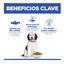 Hill's Science Plan Hipoalergénico Large Salmão ração para cães, , large Indicador imagem número 4