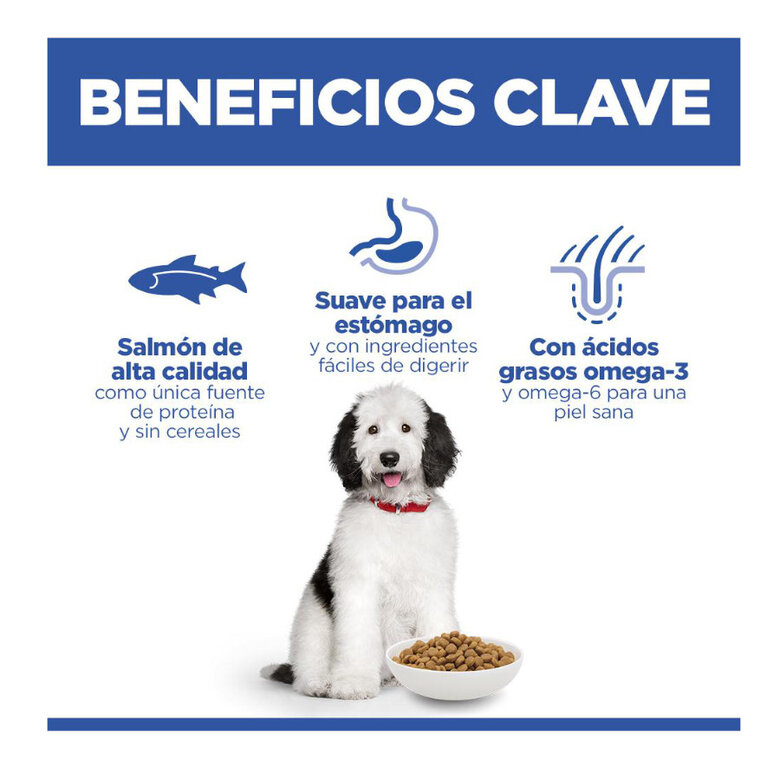 14 kg Hill's Science Plan Hipoalergénico Large Salmão ração para cães,  Imagem número 4 14 kg Hill's Science Plan Hipoalergénico Large Salmão ração para cães, , large Imagem número 4