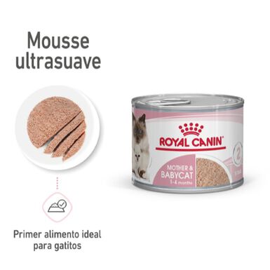 Royal Canin Mother Baby mousse latas para gatos