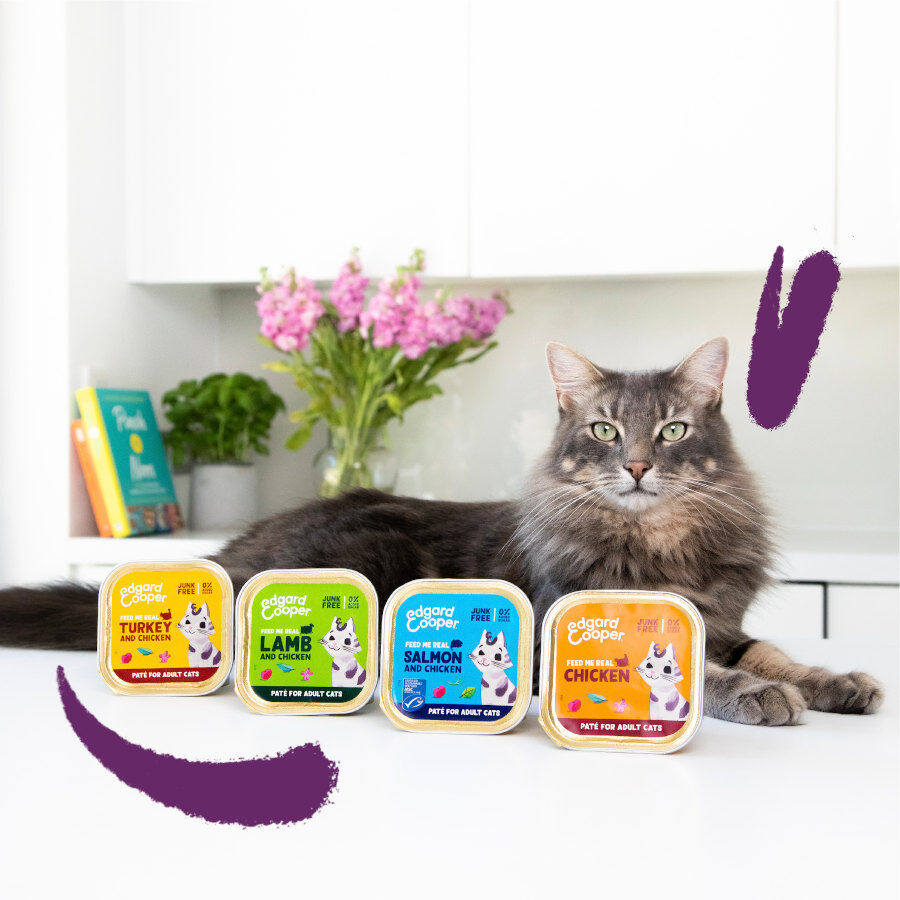 8 terrinas x 85 g Edgard & Cooper Terrina em Pat&eacute; para gatos, , large Imagem n&uacute;mero 3