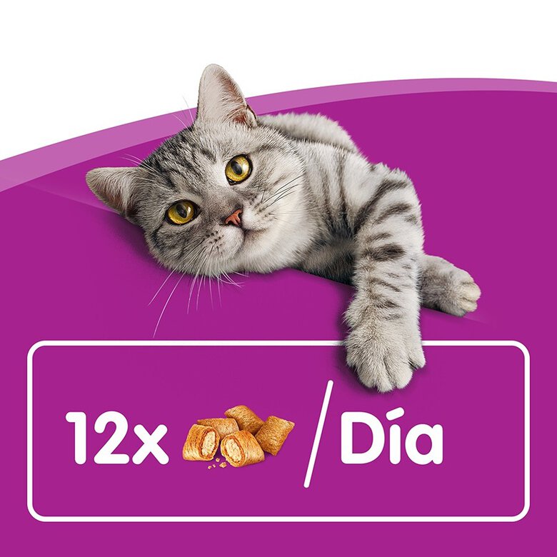 60 g Whiskas Temptations Snacks Salmão para Gatos ,  Imagem número 6 60 g Whiskas Temptations Snacks Salmão para Gatos , , large Imagem número 6