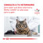 4 kg Royal Canin Veterinary Renal Select ração para gatos , , large Indicador imagem número 7