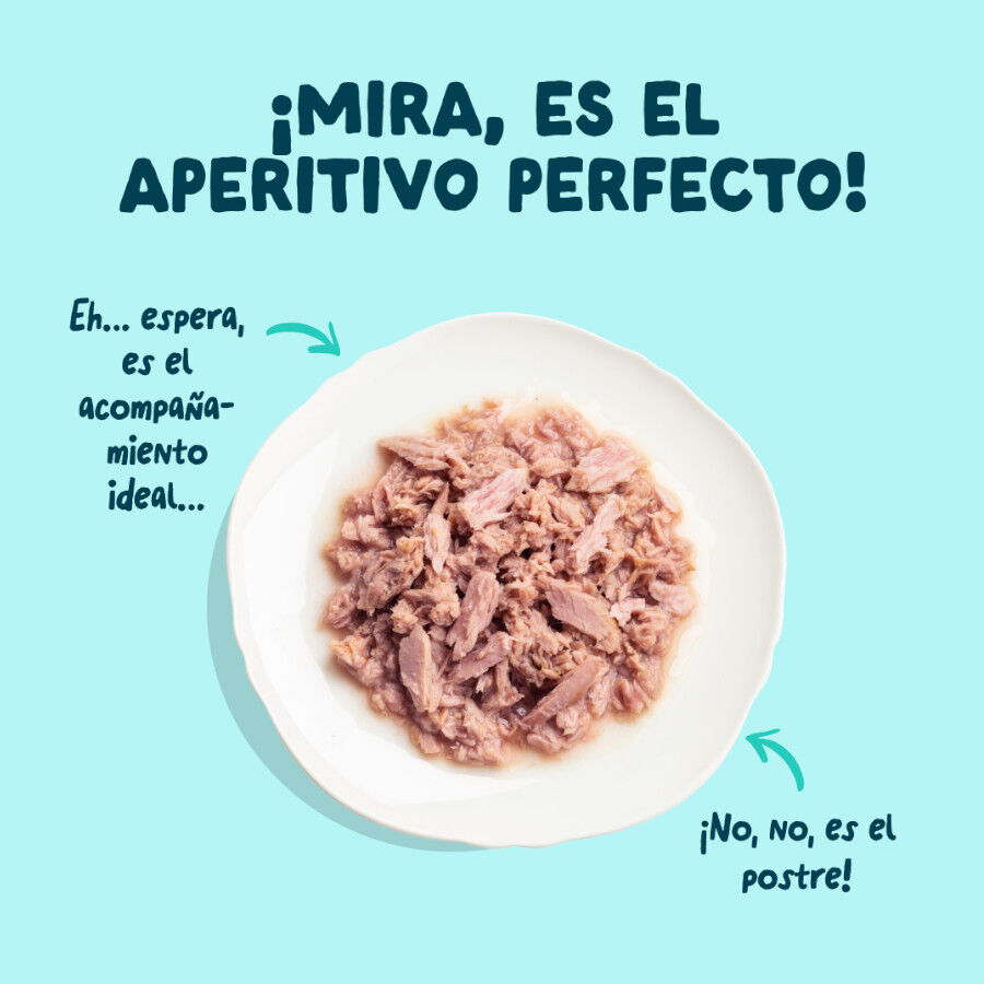 70 g Edgard & Cooper Alimento h&uacute;mido de atum e camar&atilde;o em lata para gatos, , large Imagem n&uacute;mero 3