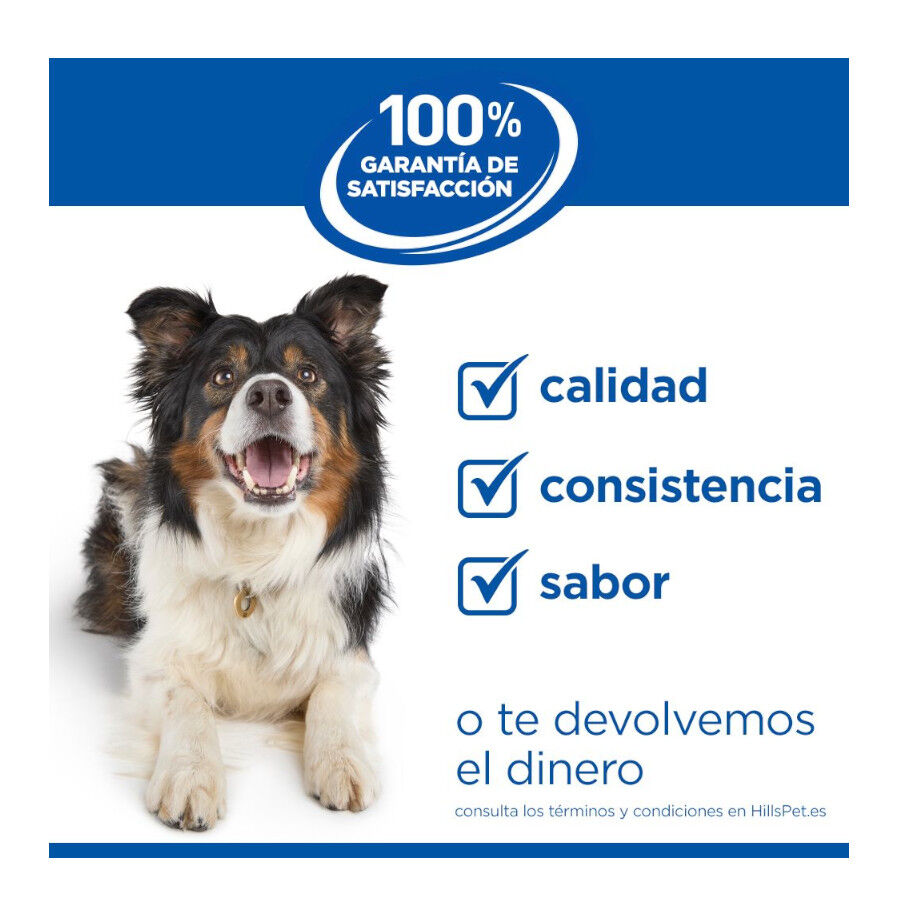 14 kg Hill's Science Plan Adult Medium Frango ra&ccedil;&atilde;o para c&atilde;es, , large Imagem n&uacute;mero 11