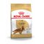 3 kg Royal Canin Adult Cocker ração para cães, , large Indicador imagem número 1