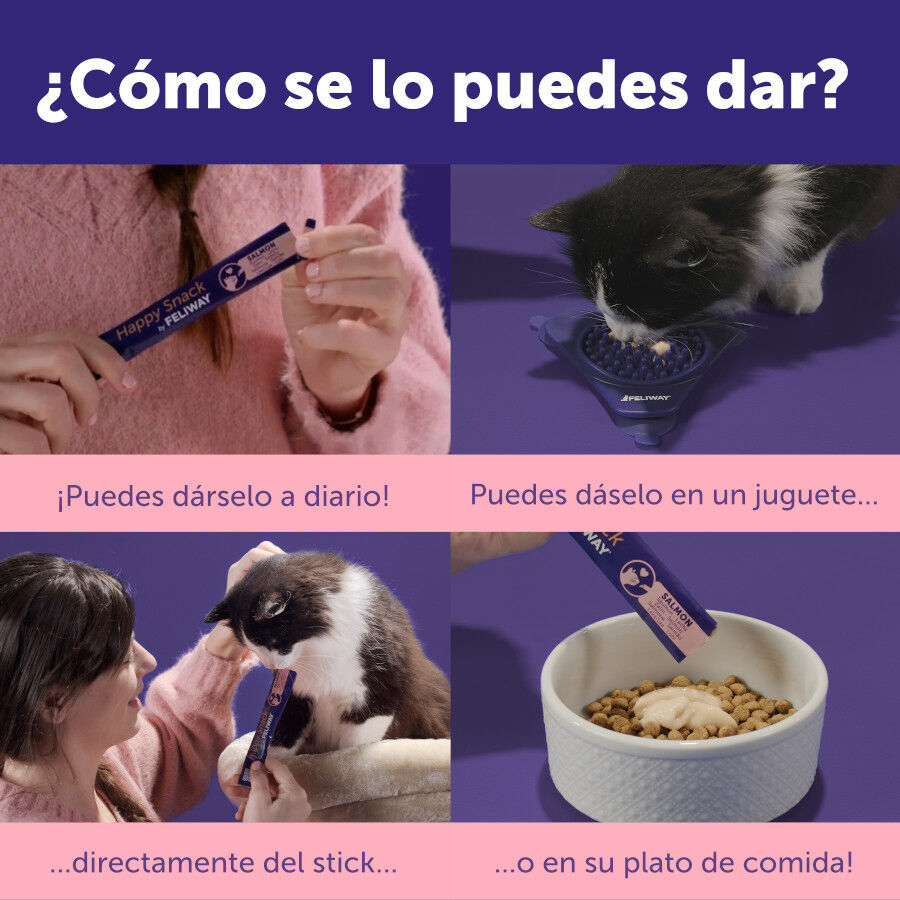 24 barritas Feliway Ceva Happy Snacks de Salm&atilde;o para gatos, , large Imagem n&uacute;mero 6