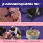 24 barritas Feliway Ceva Happy Snacks de Salm&atilde;o para gatos, , large Indicador imagem n&uacute;mero 6
