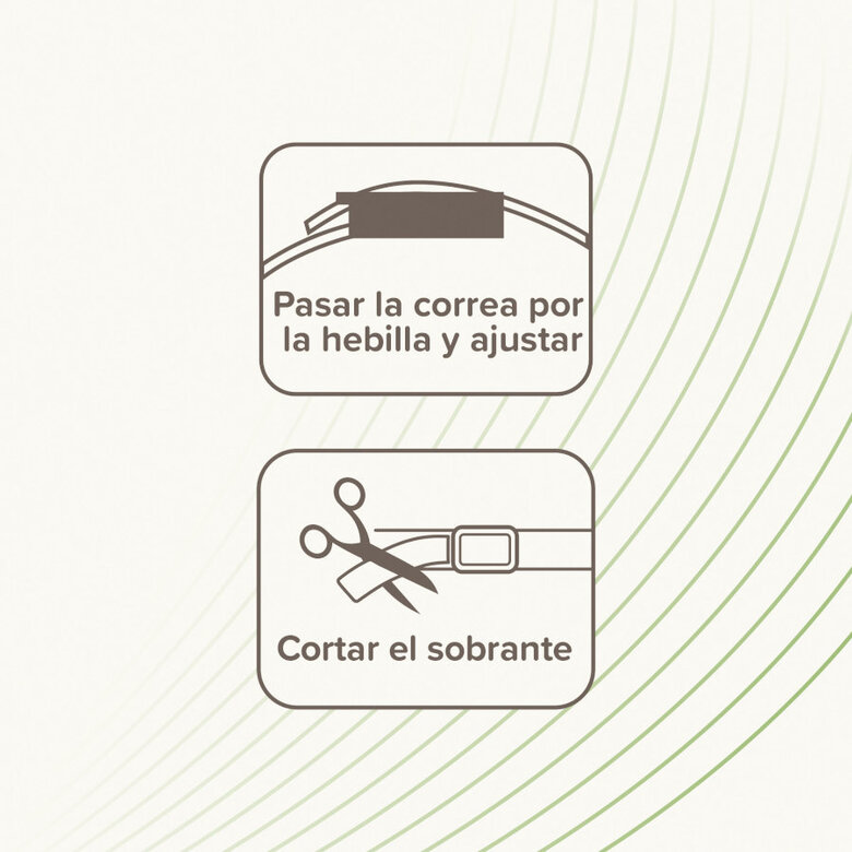 Beaphar Bio Band Coleira repelente para cães, , large image number null