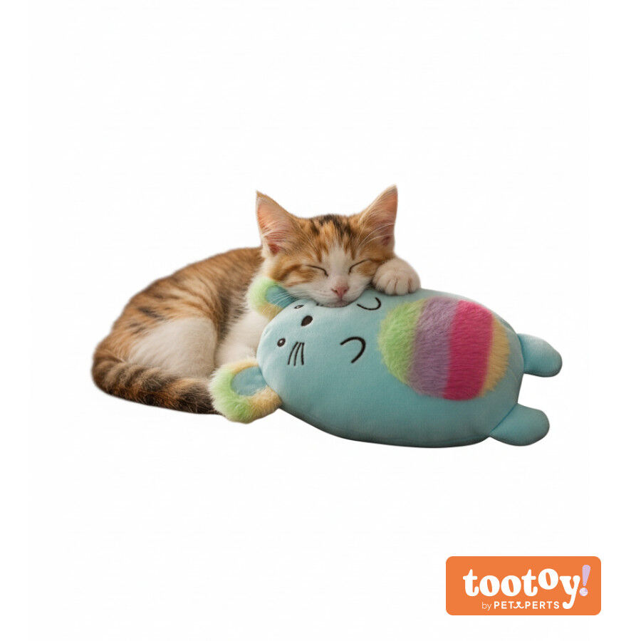 Tootoy! Kitten Peluche Arco-&iacute;ris para gatos, , large Imagem n&uacute;mero 9