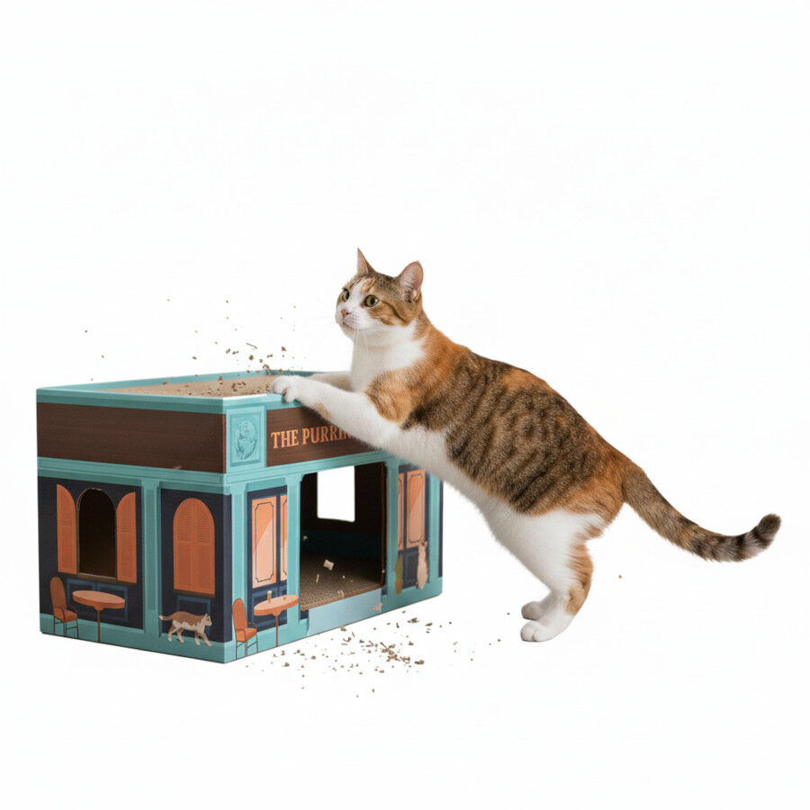 All For Paws Vintage Arranhador Pint para Gatos, , large Imagem n&uacute;mero 3