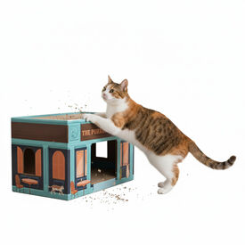 All For Paws Vintage Arranhador Pint para Gatos