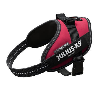 Julius K-9 IDC Peitoral Magenta para cães