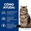 82 g Hill's Prescription Diet Gastrointestinal Biome Guisado de Frango lata para gatos, , large Indicador imagem número 3