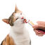 Catit Creamy Snack Líquido de Frango, Borrego, Gambas e Atum para gatos, , large Indicador imagem número 3