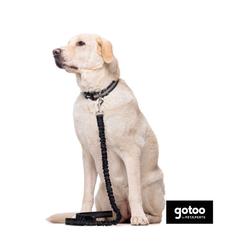 Gotoo Coleira mesh cinza para c&atilde;es, , large Imagem n&uacute;mero 3