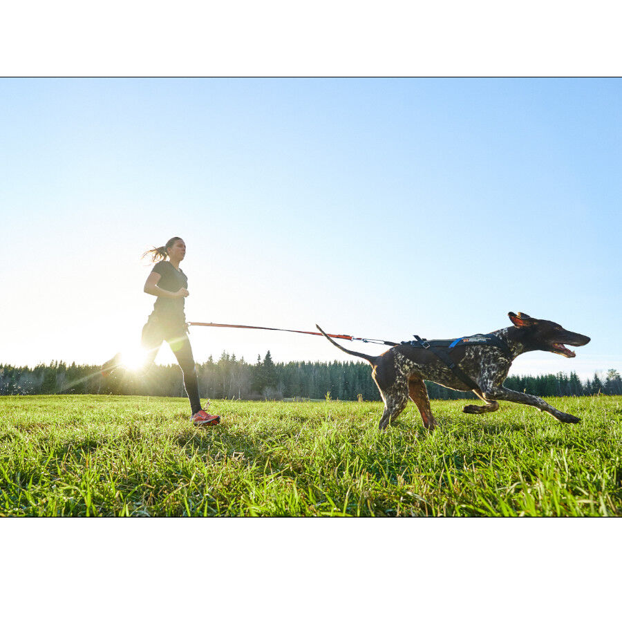 Non-stop dogwear Bungee Trela el&aacute;stica preta e laranja para c&atilde;es, , large Imagem n&uacute;mero 7