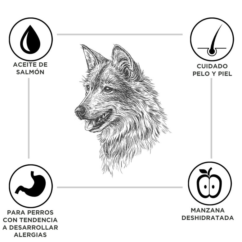 3 kg Criadores Adult Borrego e Arroz ração para cães de porte médio e grande,  Imagem número 2 3 kg Criadores Adult Borrego e Arroz ração para cães de porte médio e grande, , large Imagem número 2
